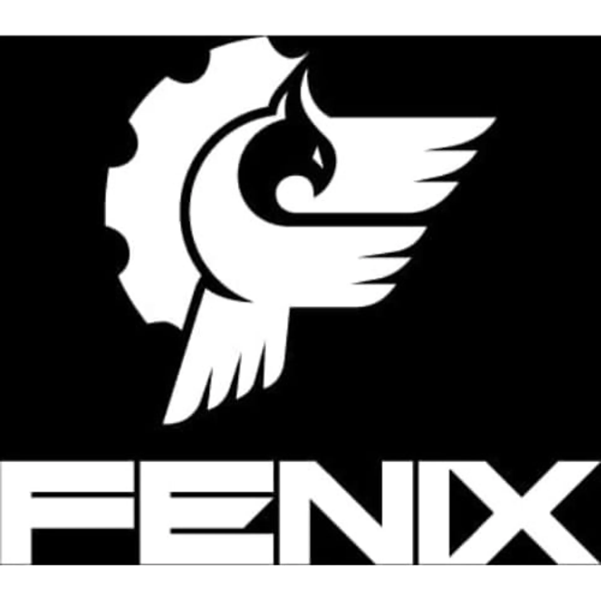 Ingeniería Nacional - Fenix: Soluciones Mexicanas