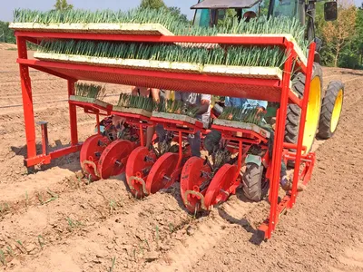 TRASPLANTADORA HILERA SENCILLA